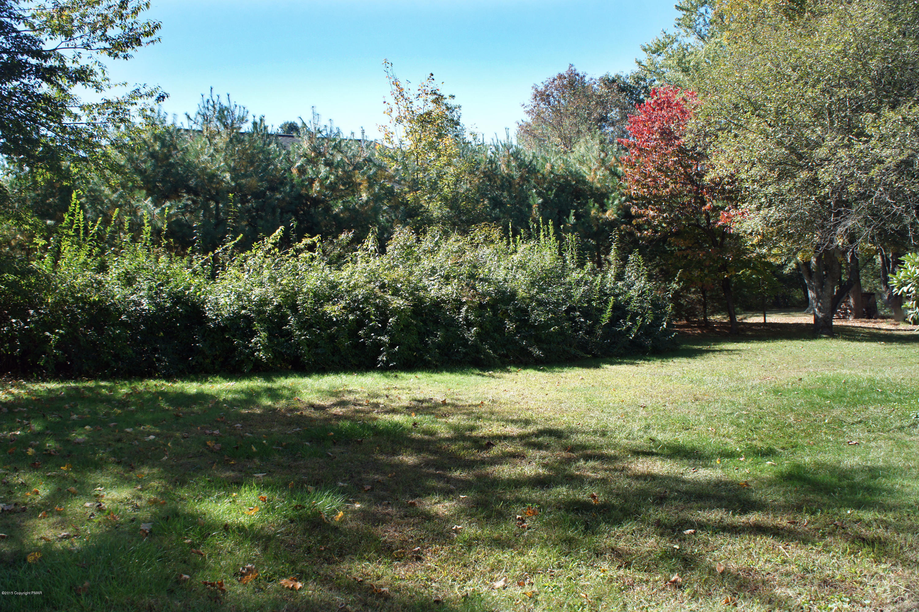 177 Tanite Road Stroudsburg, PA 18360 - Photo 28 of 30 a view of outdoor space with trees all around