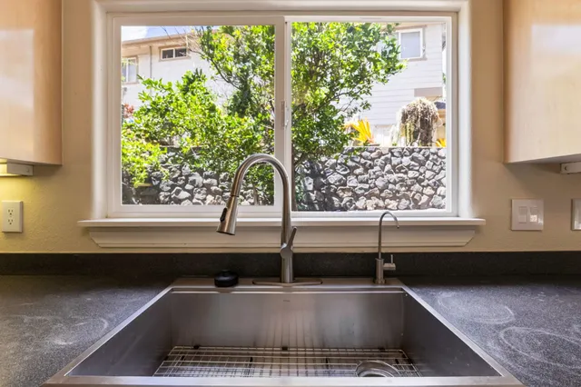 a view of kitchen sink a faucet a potted plant and a counter space