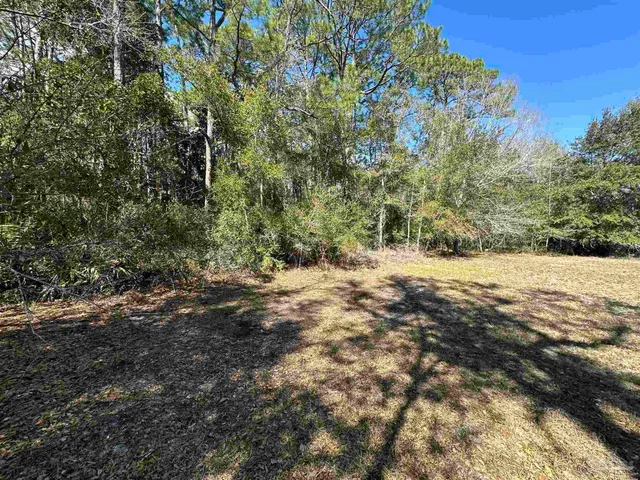 a view of an ocean beach
