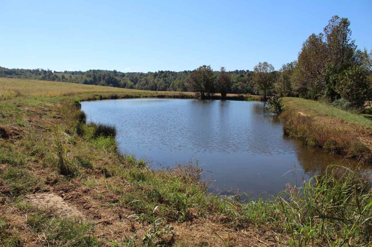 Amber White Road Bowling Green, KY 42101 - Photo 18 of 20 Gallery Image 18