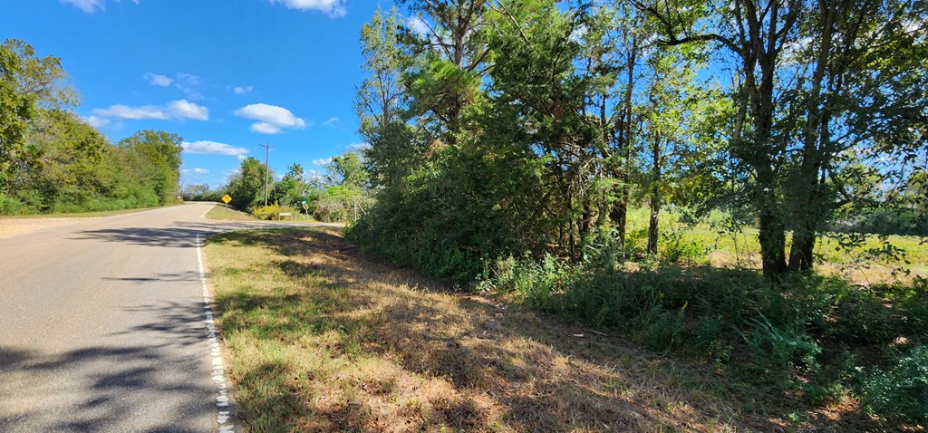 92 County Road 92 Slocomb, AL 36375 - Photo 17 of 32
