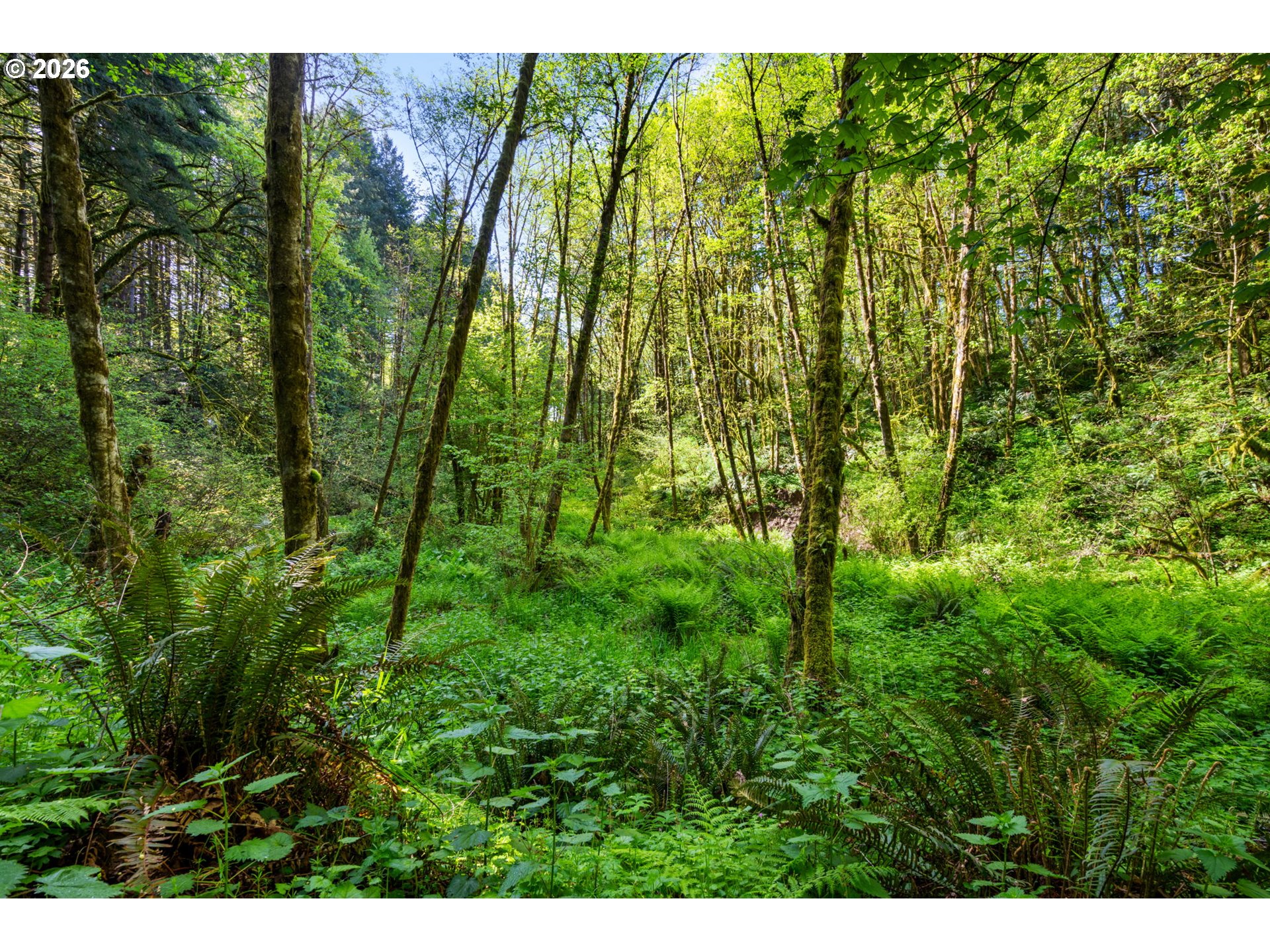 2836 Lewis River Road Woodland, WA 98674 - Photo 32 of 44