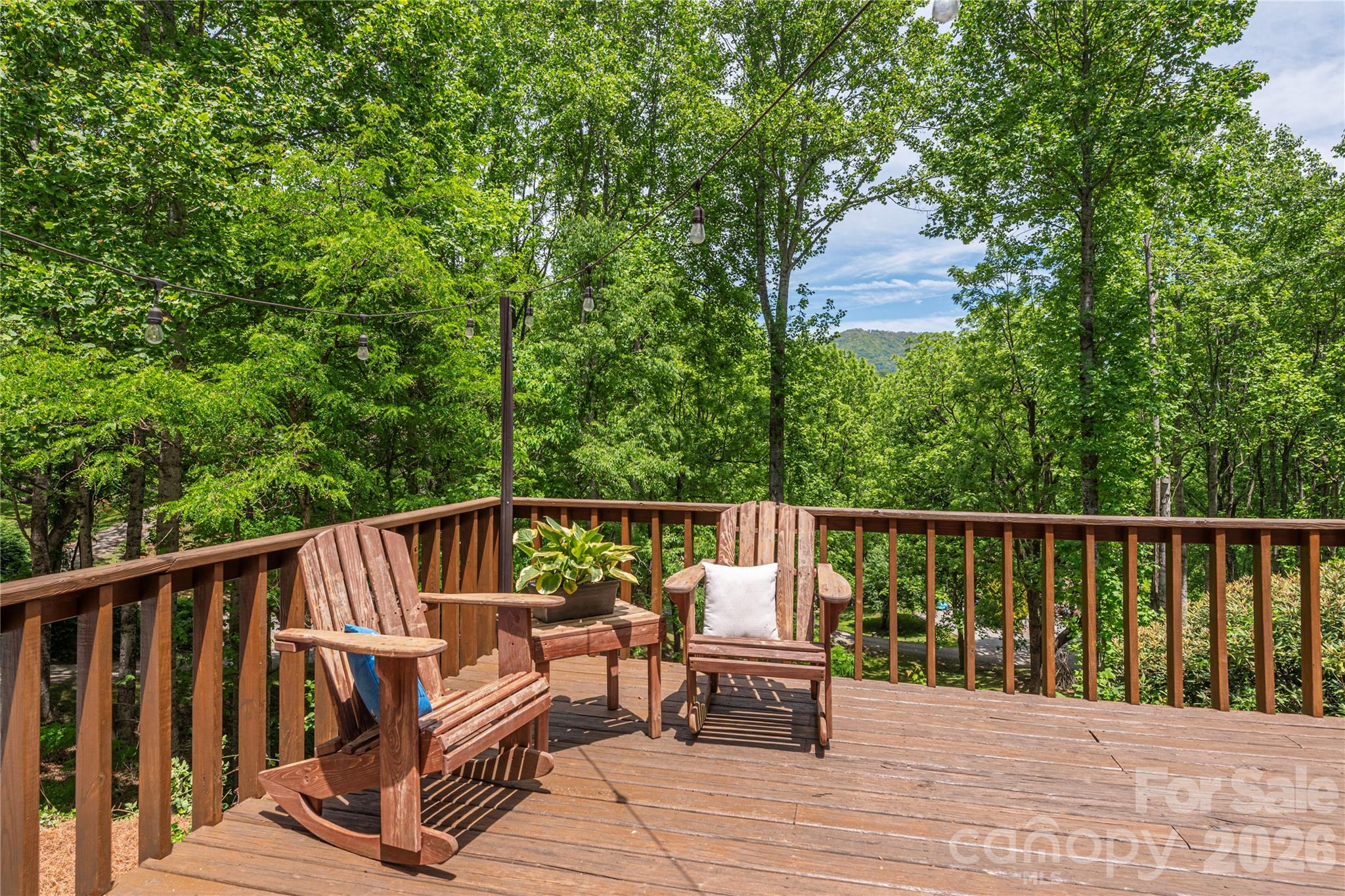 1551 Walnut Creek Road Waynesville, NC 28786 - Photo 36 of 48