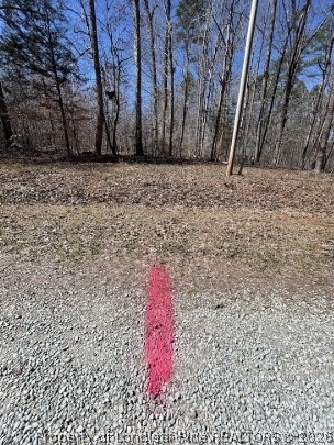 Pointe Mayo Drive Roxboro, NC 27574 - Photo 7 of 24 a view of a dry yard with trees