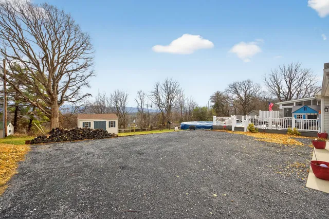 a view of a yard with a trees