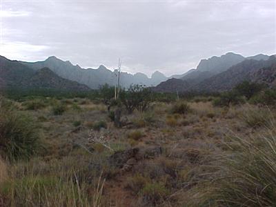 208 East Diamondback Road St. David, AZ 85630 - Photo 4 of 7 Gallery Image 4