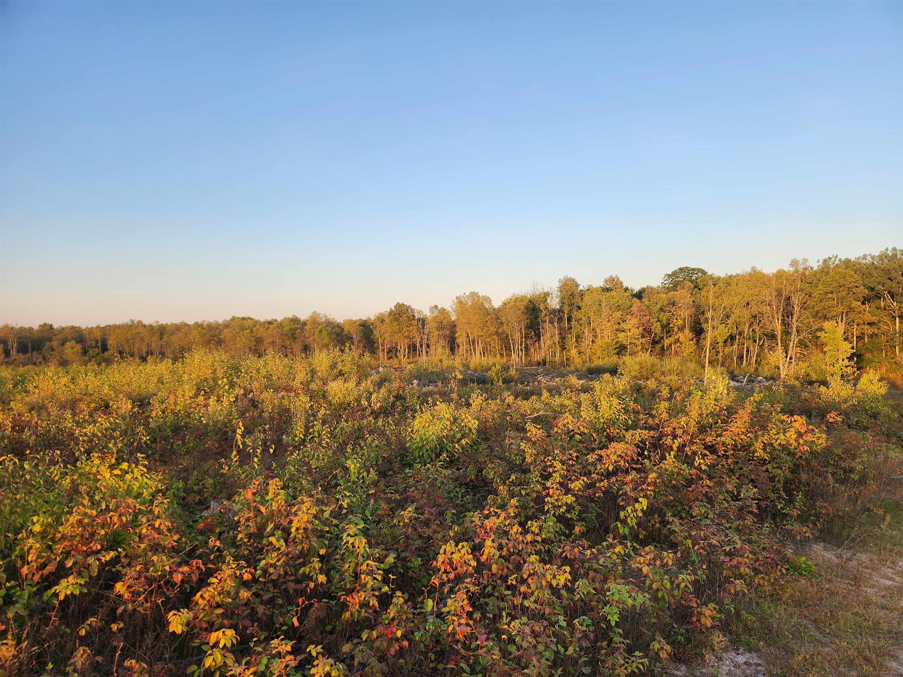 40 Acres (1st) Monroe (easement) Road Harrison, MI 48625 - Photo 3 of 7