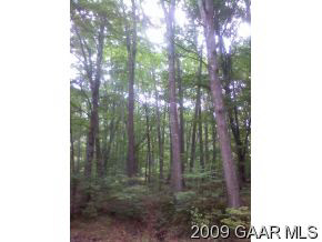 Tbd Raphine Road Steeles Tavern, VA 24472 - Photo 2 of 2 a view of a forest from a tree