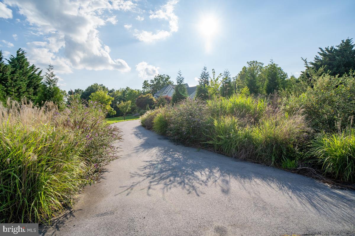 190 Ridgemore Drive Raphine, VA 24472 - Photo 55 of 95 Gallery Image 55