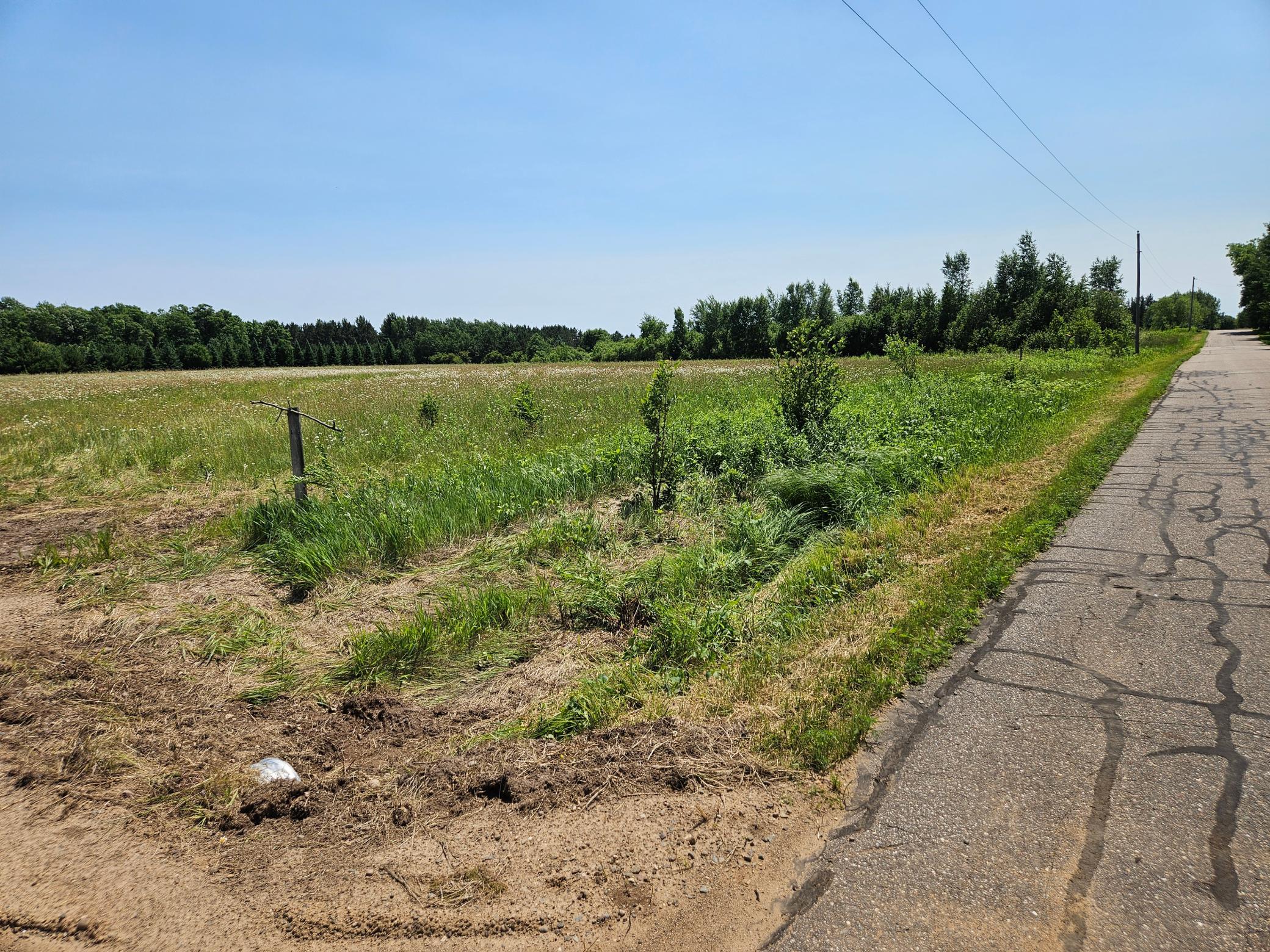Tbd Thorson Road Brainerd, MN 56401 - Photo 4 of 14