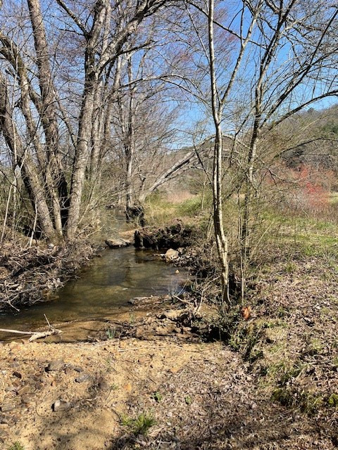107 Minor Road Marble, NC 28905 - Photo 29 of 40