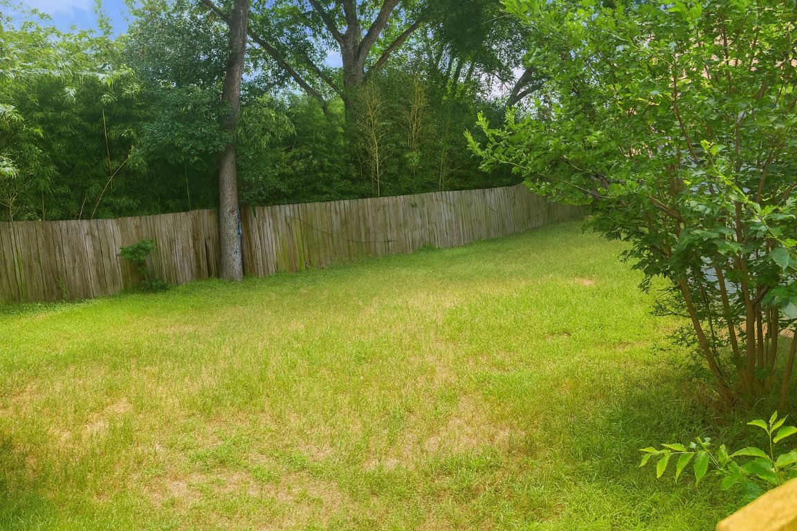 1005 West Martin Luther King Jr Boulevard Austin, TX 78701 - Photo 30 of 31 View of yard