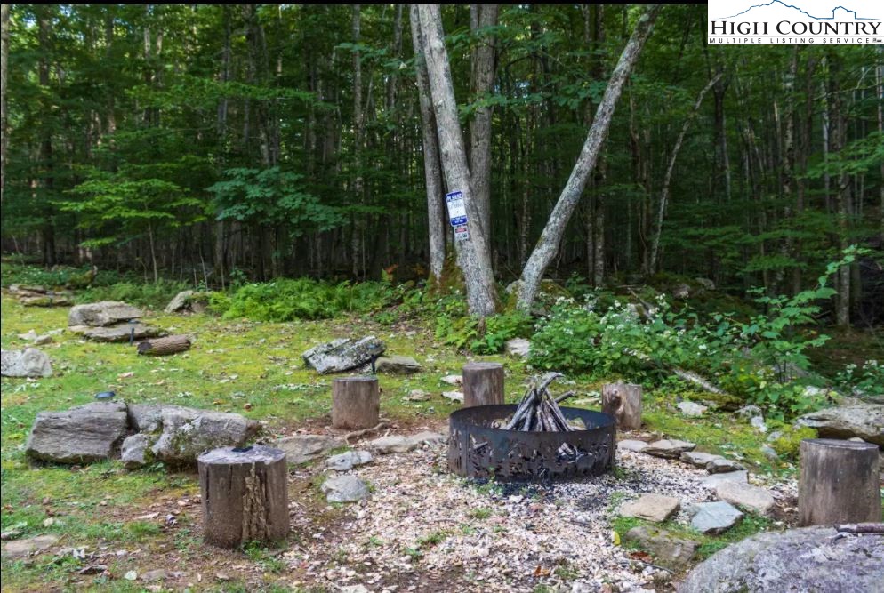 124 Aster Trail Beech Mountain, NC 28604 - Photo 21 of 26 a view of a backyard with potted plants and large trees
