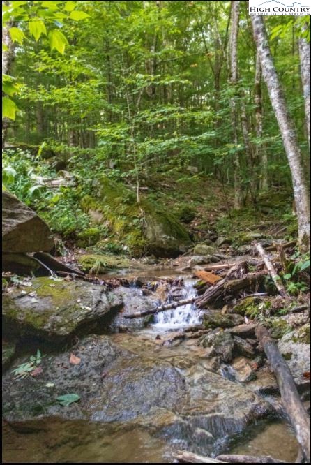 124 Aster Trail Beech Mountain, NC 28604 - Photo 25 of 26 a view of a lake view