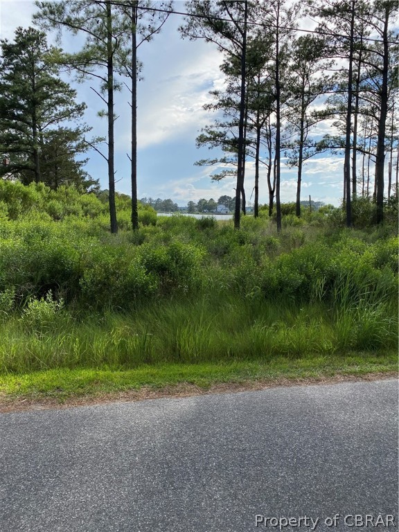 Lot 7 Horse Road Hayes, VA 23072 - Photo 6 of 11