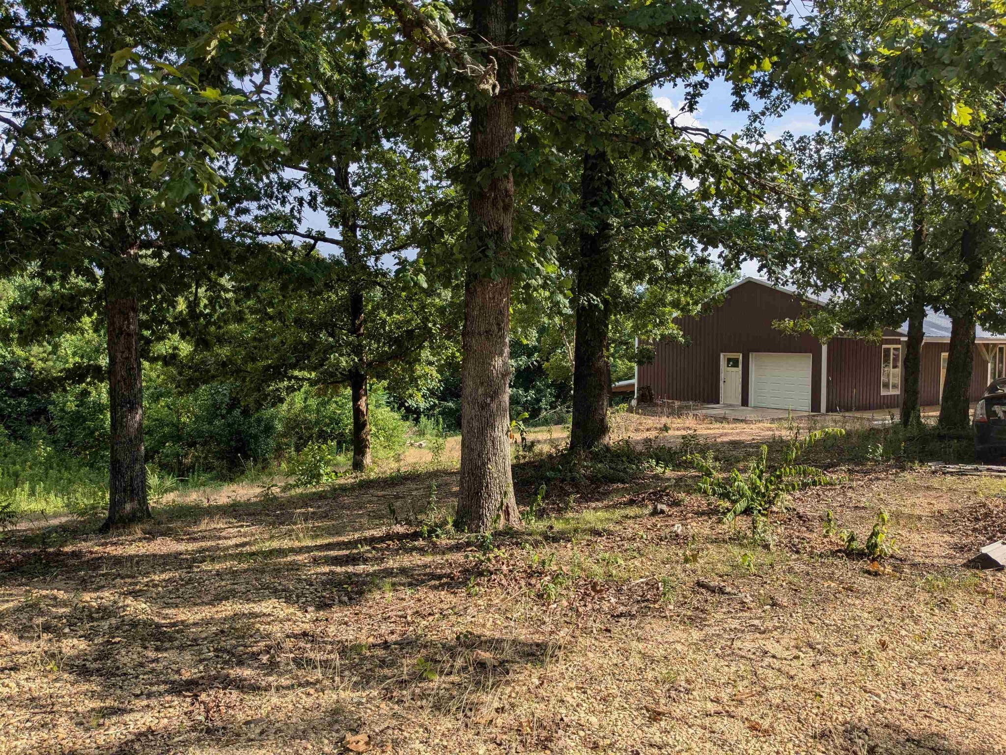234 Fire Creek Cut Road Guin, AL 35563 - Photo 4 of 12 a front view of a house with a yard