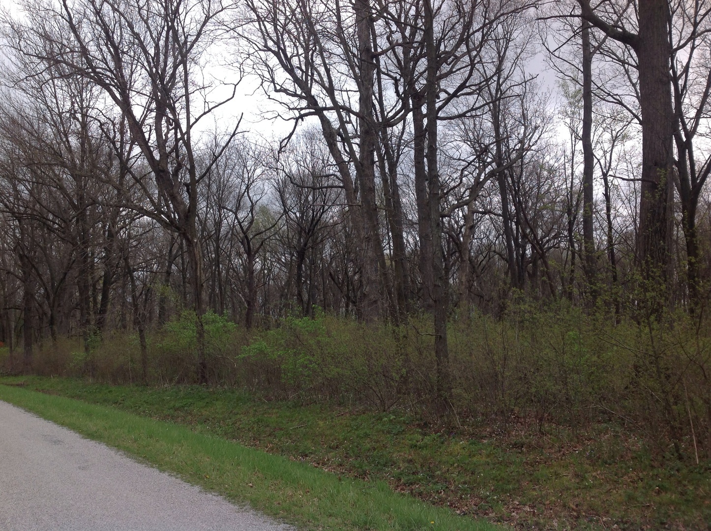 Sec 21 T27n R11w Road Sheldon, IL 60966 - Photo 1 of 1