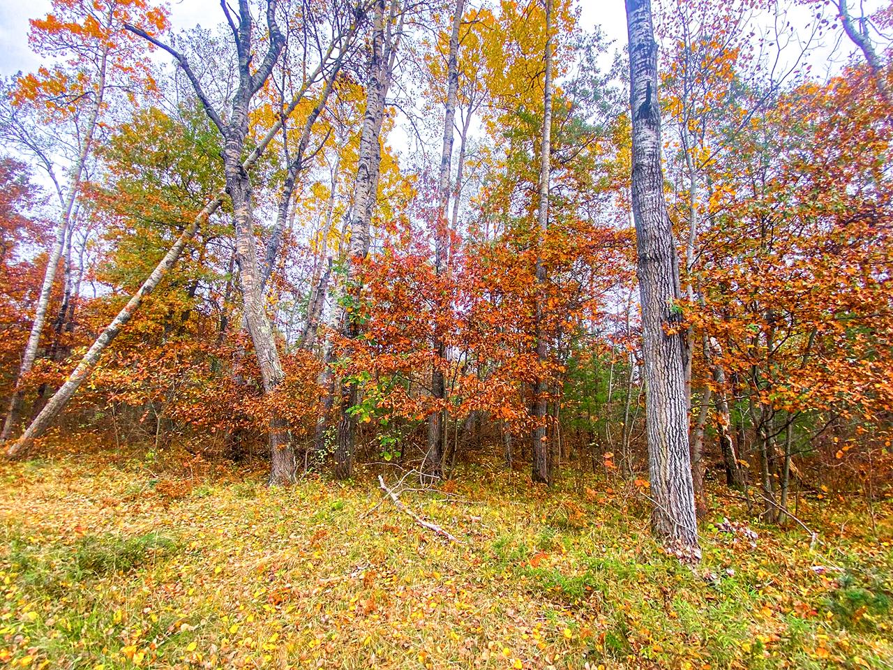 On Tomanok Road Tomahawk, WI 54487 - Photo 6 of 8 Gallery Image 6