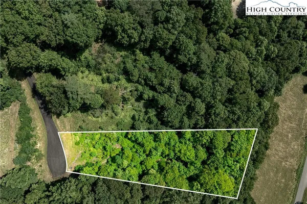 $99,000 | Lot 31 Lake Ridge, Butler, TN 37640