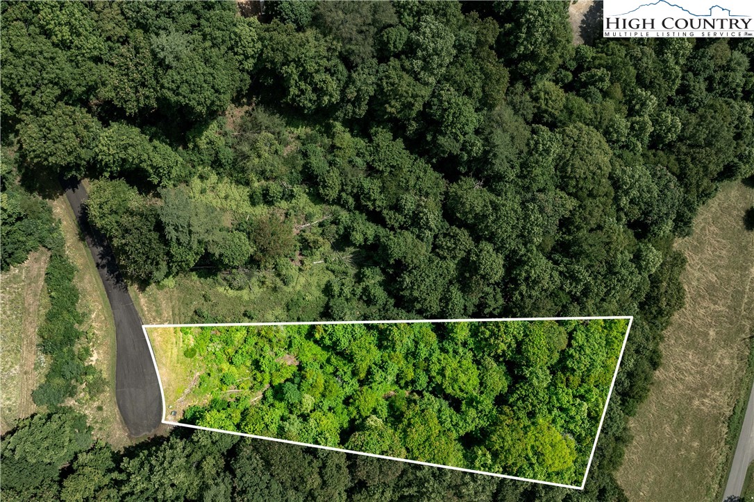 Lot 31 Lake Ridge Butler, TN 37640 - Photo 1 of 31