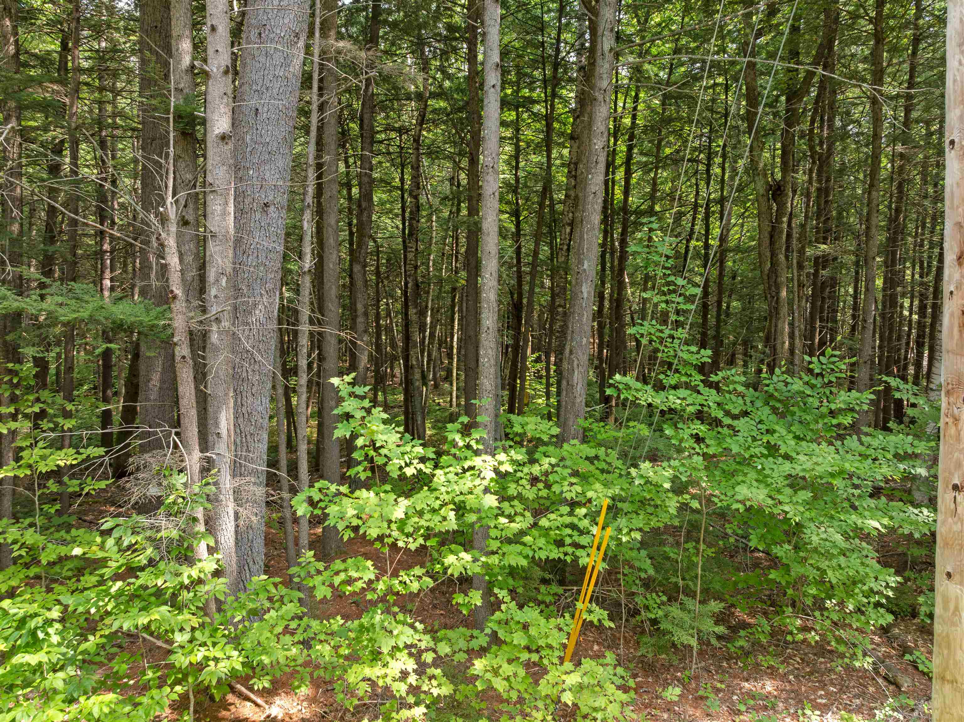 32 Forest Pond Road New Hampton, NH 03256 - Photo 12 of 17 Gallery Image 12