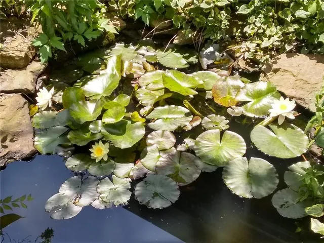 $385,000 | 305 Beadling Road, Pittsburgh, PA 15228