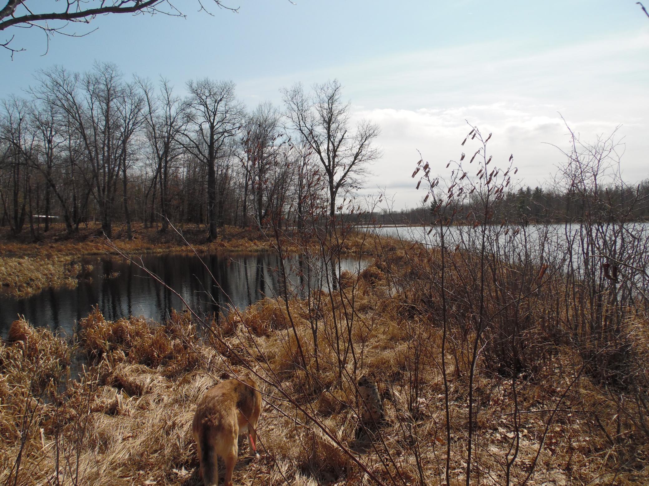 Xxx 57th Street Cumberland, WI 54829 - Photo 26 of 32
