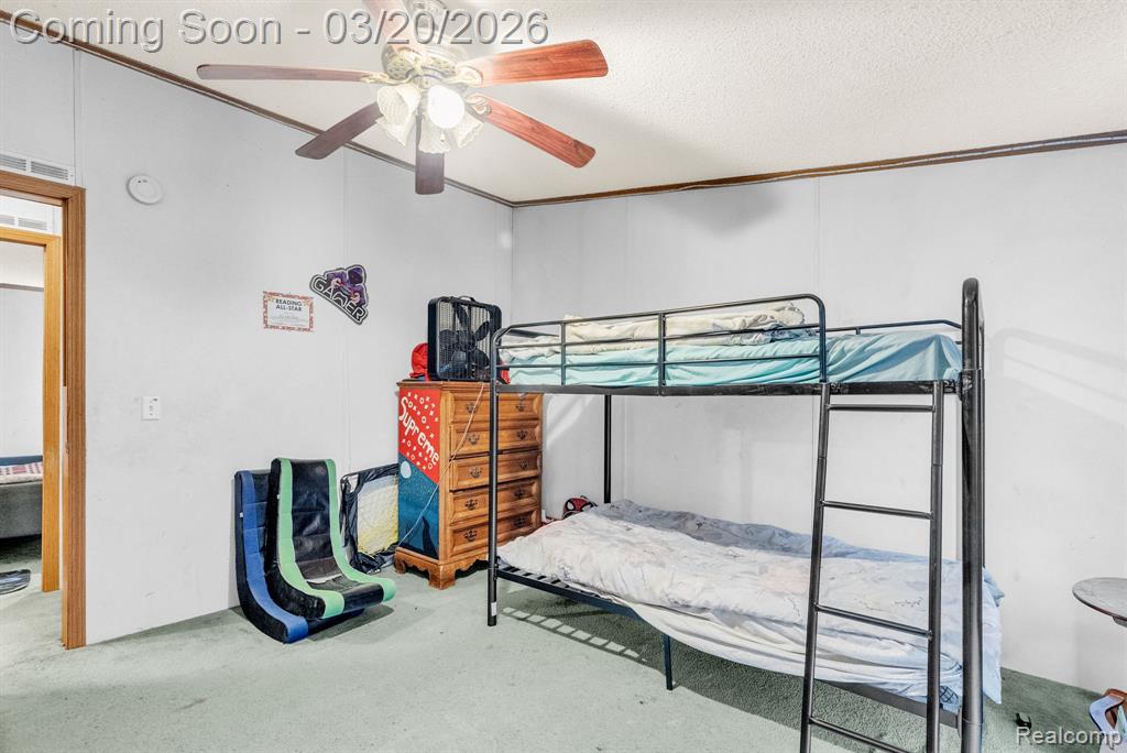 7151 Martin Road Imlay City, MI 48444 - Photo 21 of 49