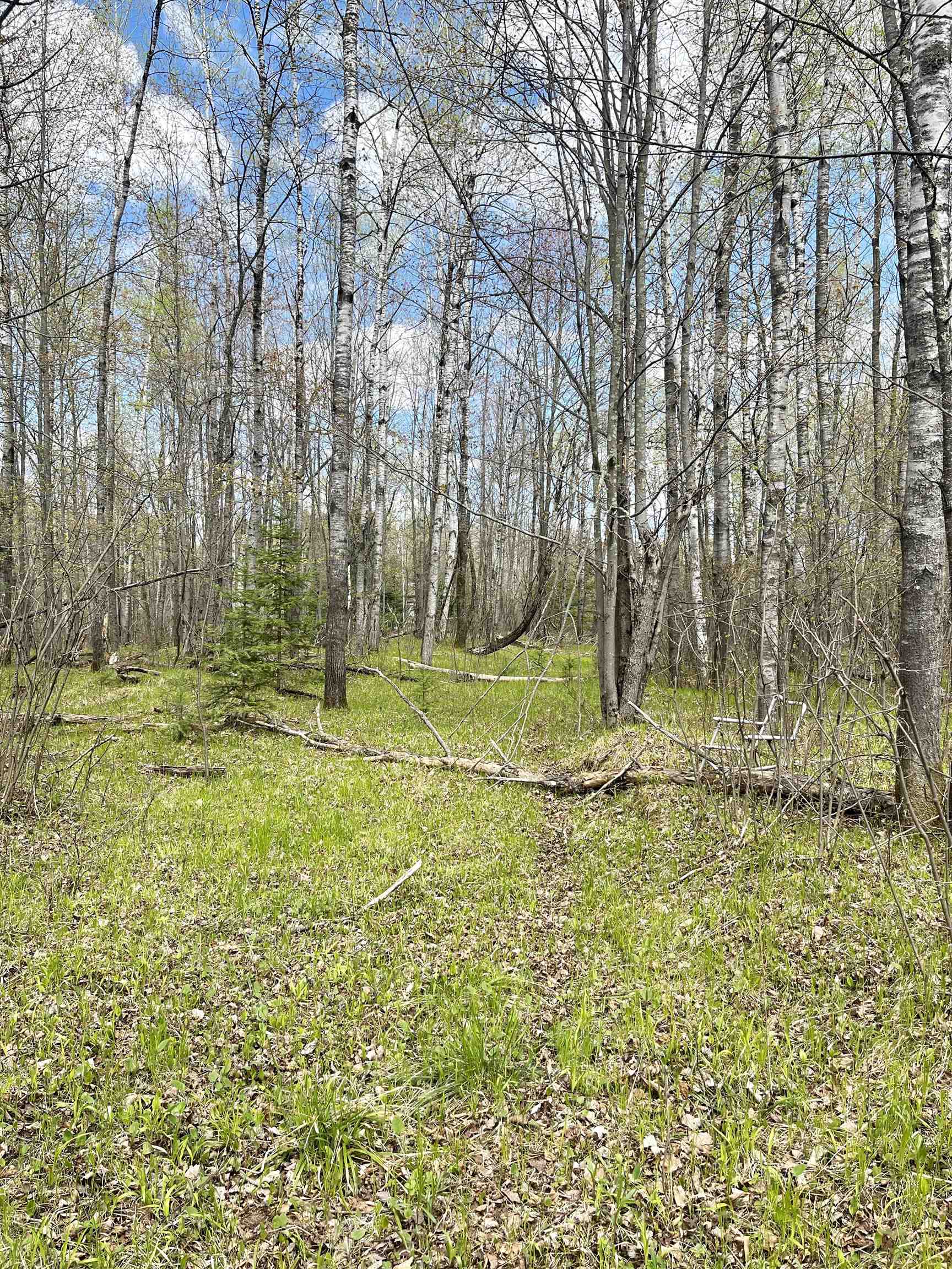 4.39-ac On East Soo Lake Road Phillips, WI 54555 - Photo 12 of 14