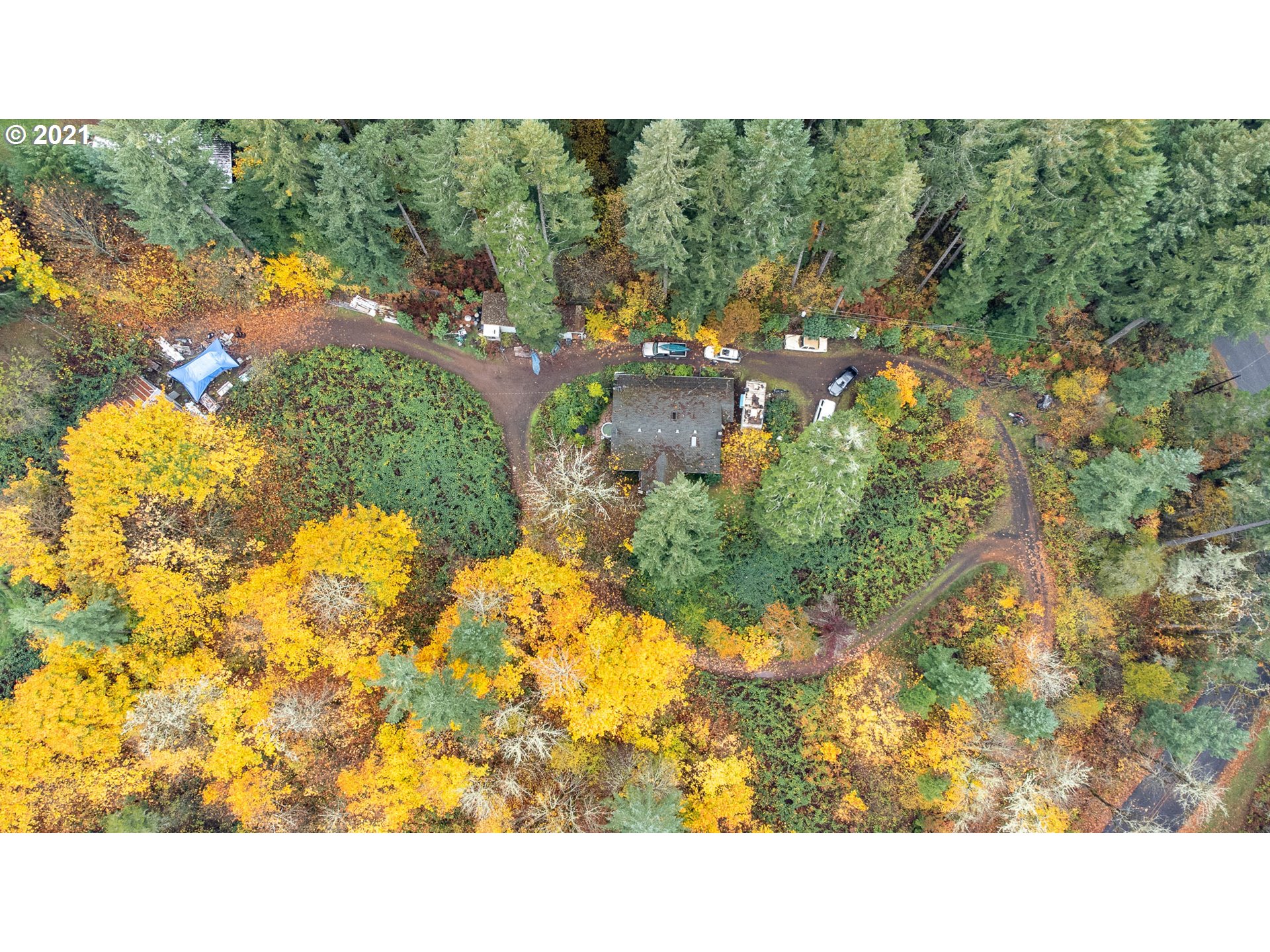 24760 High Pass Road Junction City, OR 97448 - Photo 11 of 16 Gallery Image 11