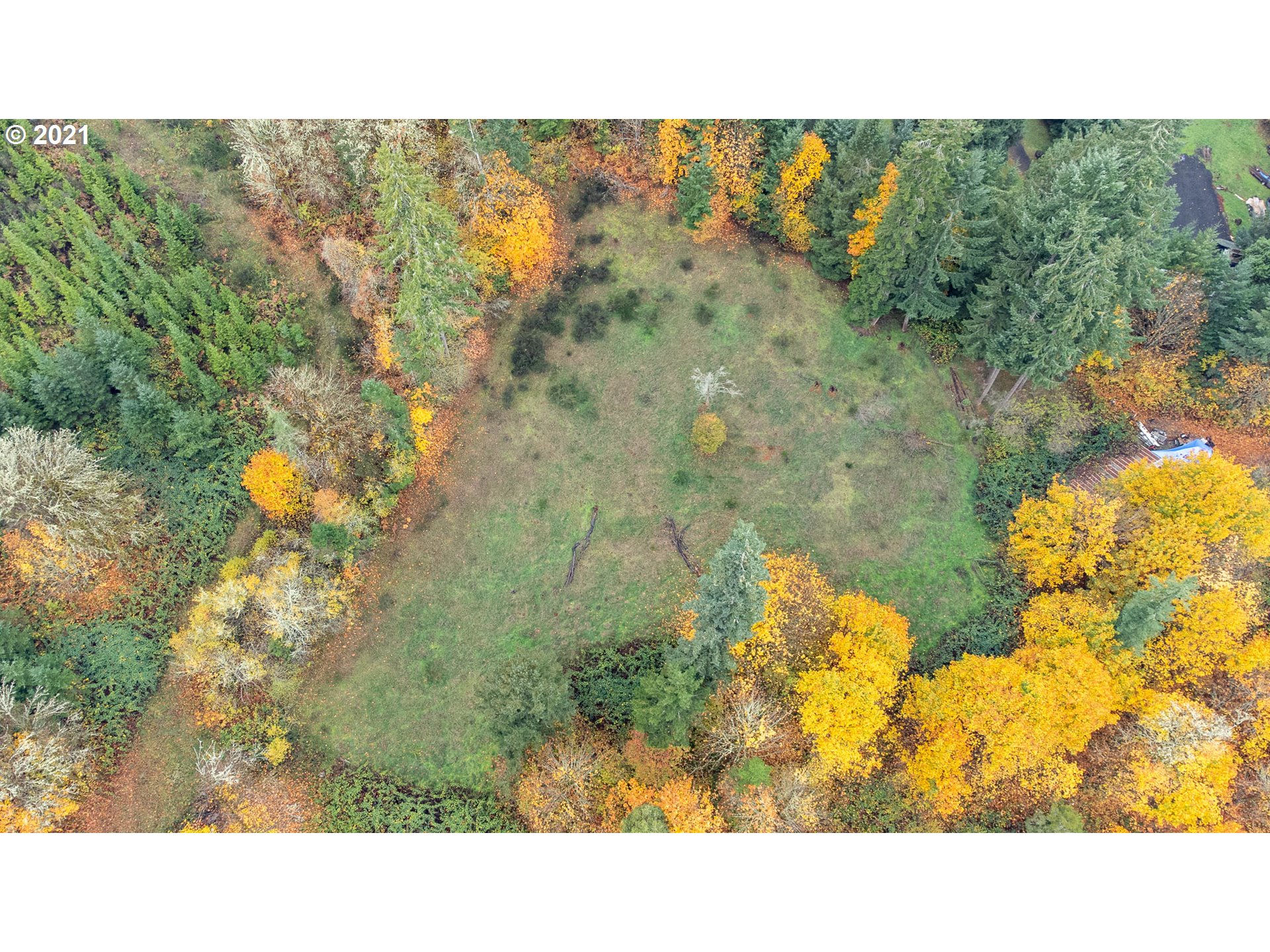 24760 High Pass Road Junction City, OR 97448 - Photo 12 of 16 Gallery Image 12