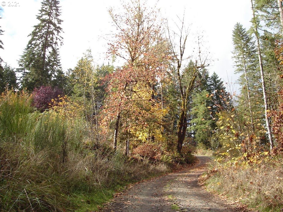 24760 High Pass Road Junction City, OR 97448 - Photo 14 of 16 Gallery Image 14