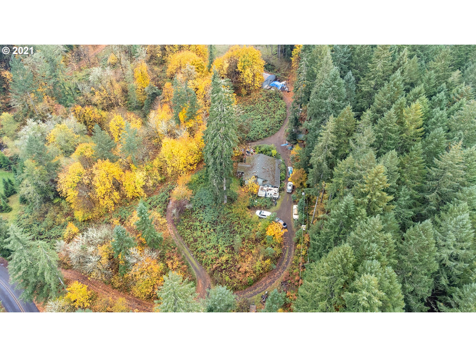 24760 High Pass Road Junction City, OR 97448 - Photo 8 of 16 Gallery Image 8