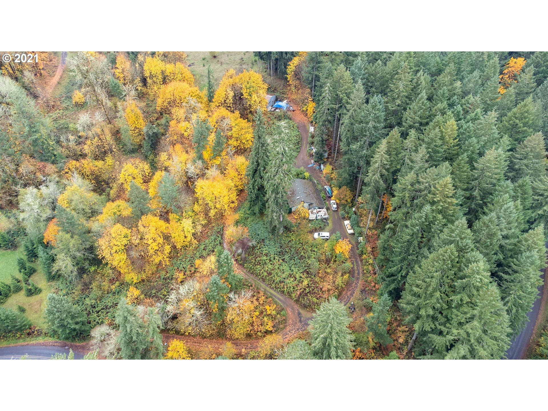 24760 High Pass Road Junction City, OR 97448 - Photo 9 of 16 Gallery Image 9