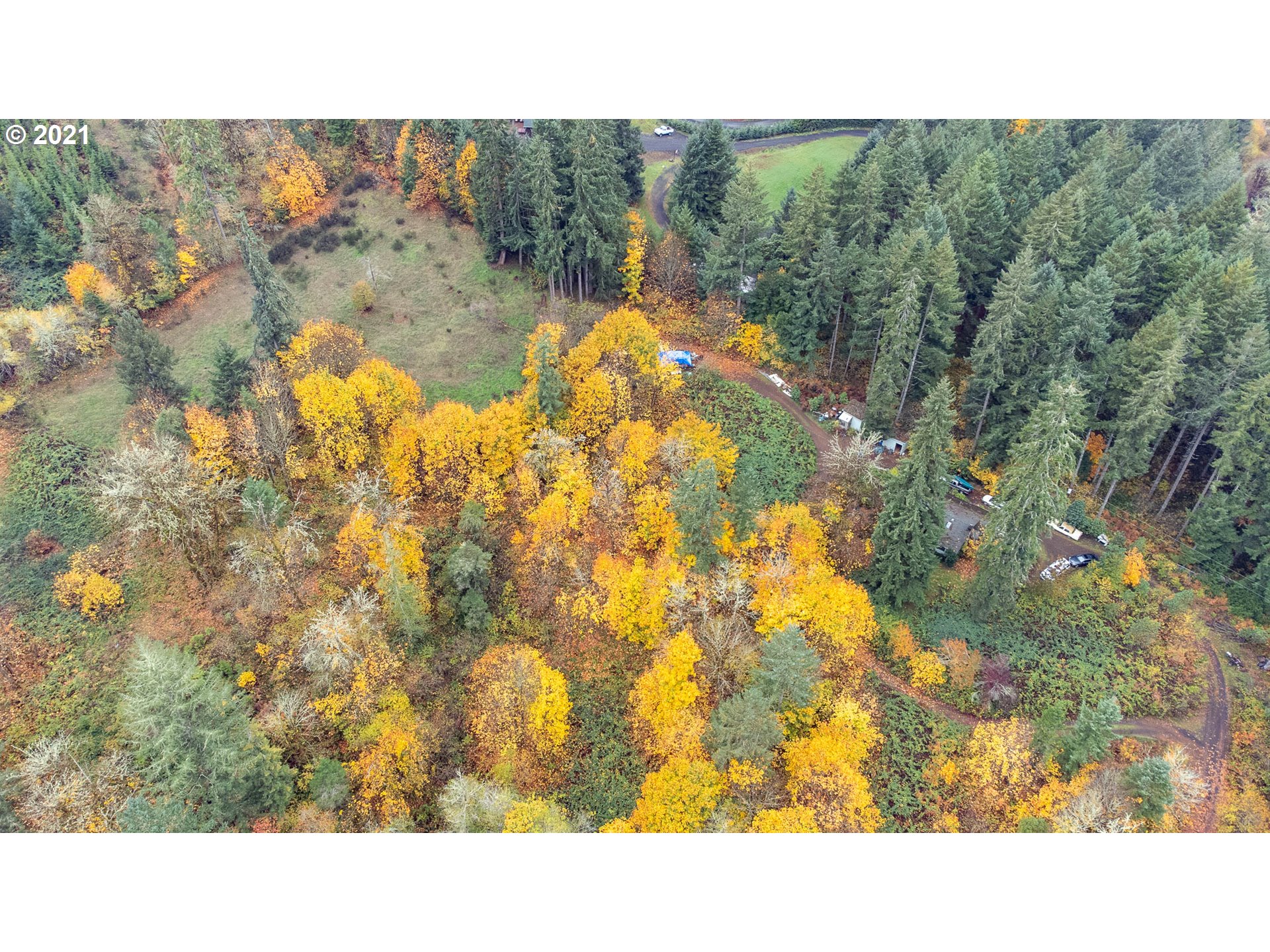 24760 High Pass Road Junction City, OR 97448 - Photo 10 of 16 Gallery Image 10