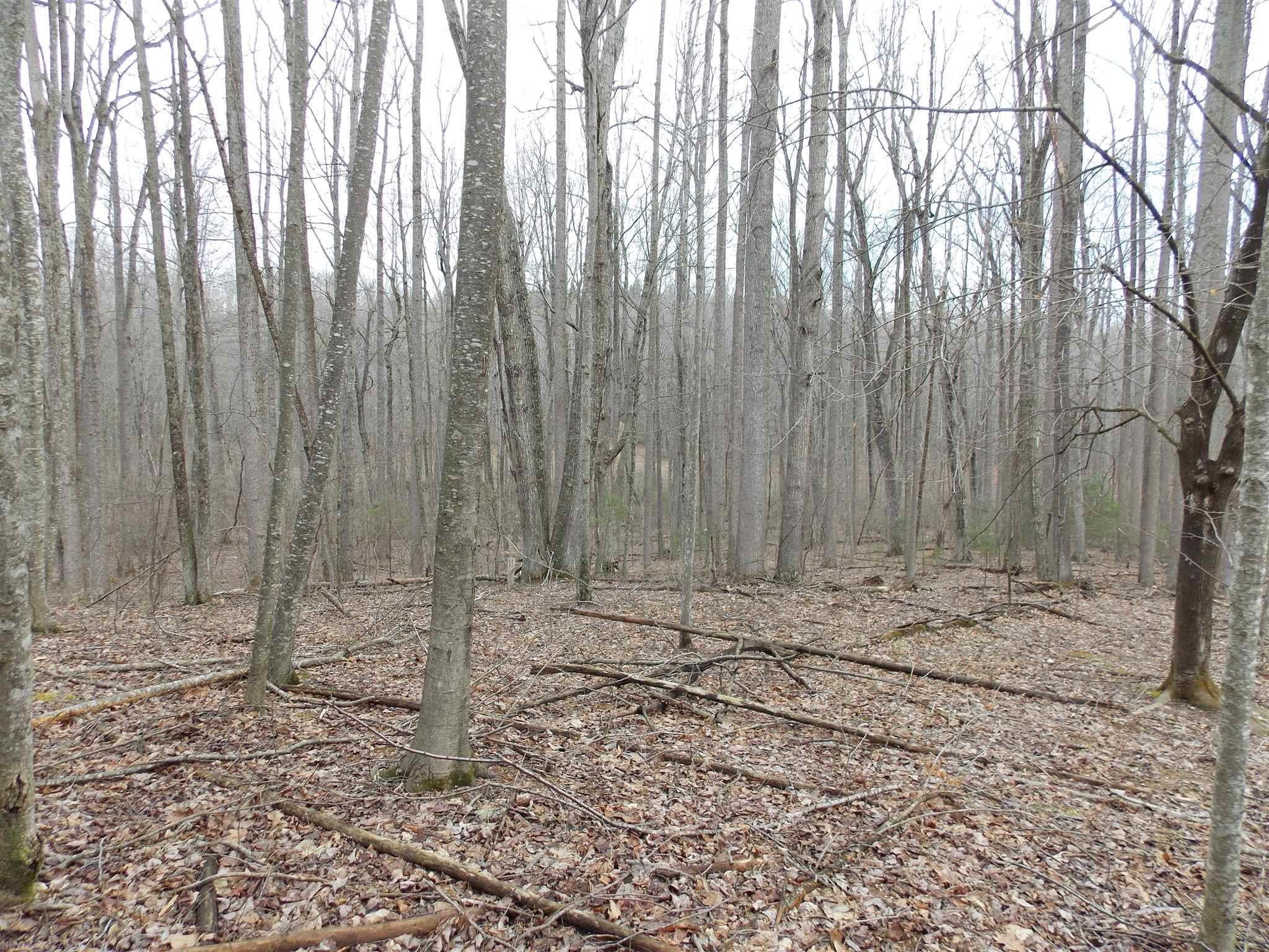 Tbd Broad Hollow Road Southeast Floyd, VA 24091 - Photo 18 of 45 Gallery Image 18
