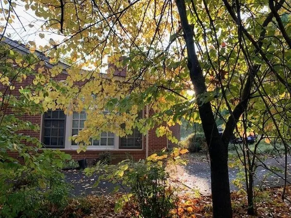 a view of outdoor space with trees