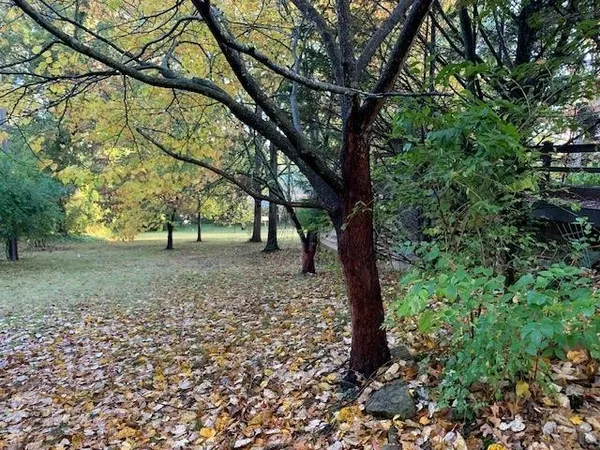 a yellow house with tree in front of it
