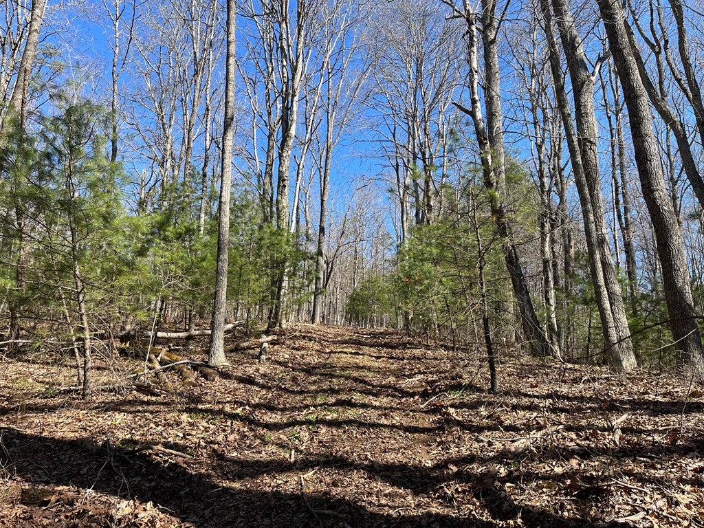 0 Sunny Ridge Road Northeast, Unit 3E Floyd, VA 24091 - Photo 23 of 37 Gallery Image 23
