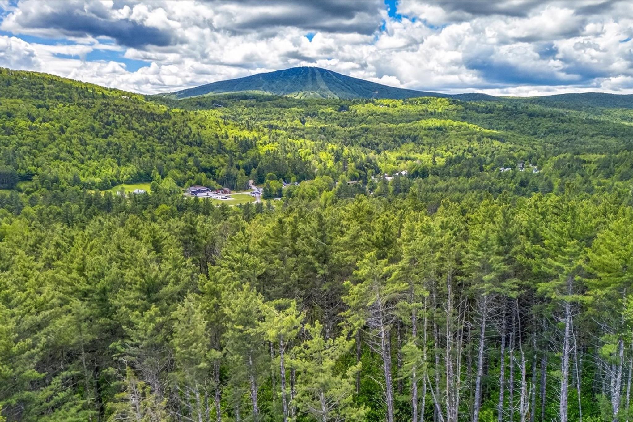 0 Wall Street, Unit LOT 2 & 3 Winhall, VT 05340 - Photo 2 of 5