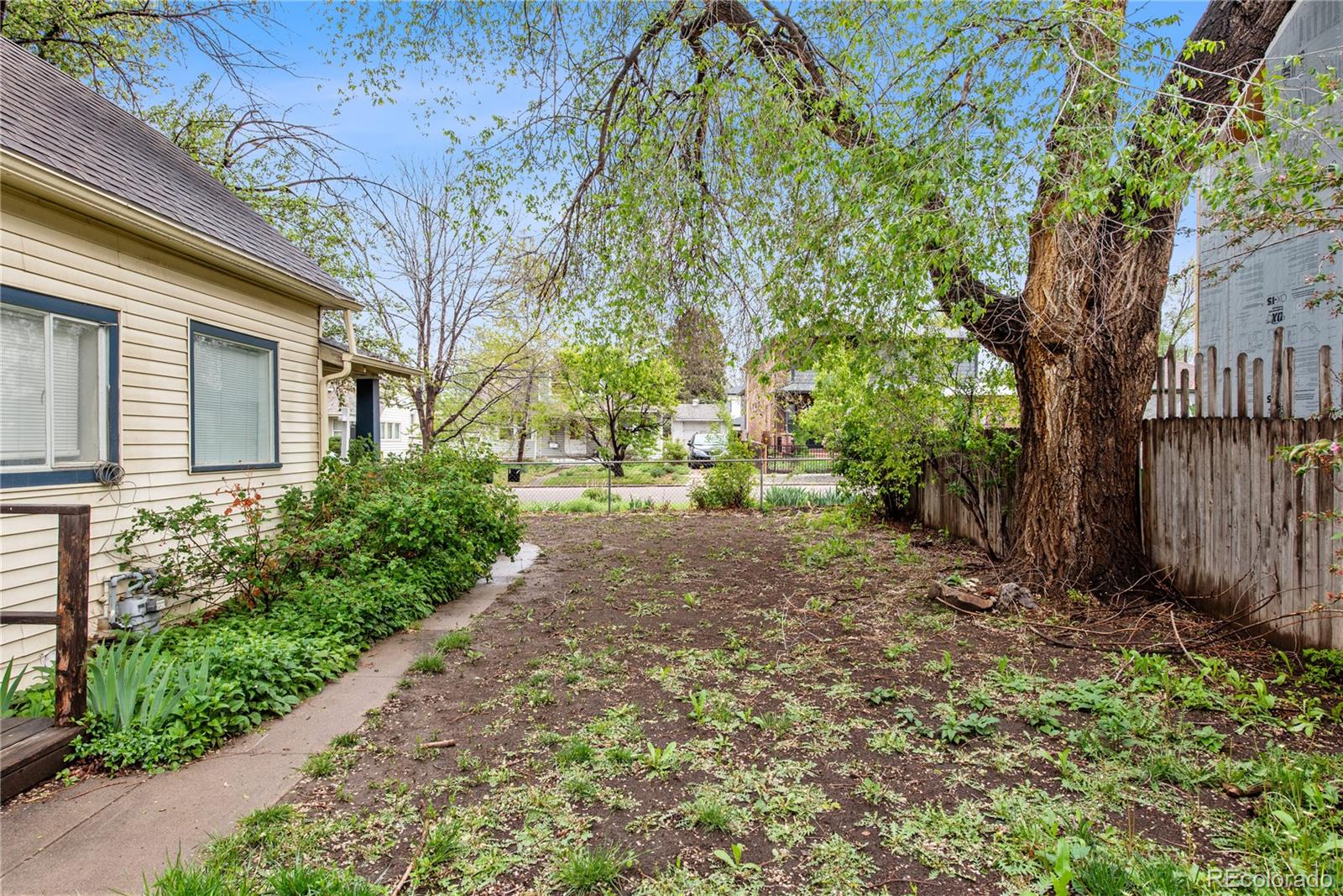 4151 Zenobia Street Denver, CO 80212 - Photo 4 of 31 a view of a backyard with large trees and plants