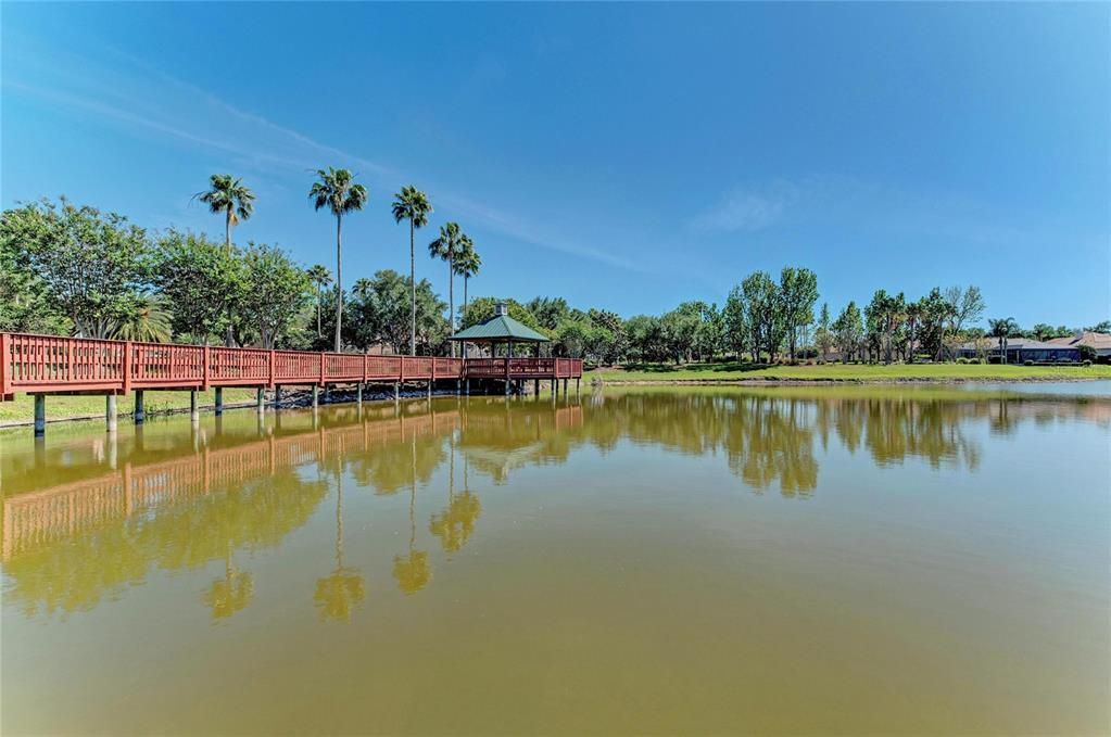 8122 Waterview Boulevard Lakewood Ranch, FL 34202 - Photo 52 of 54 a view of a swimming pool with a lake view