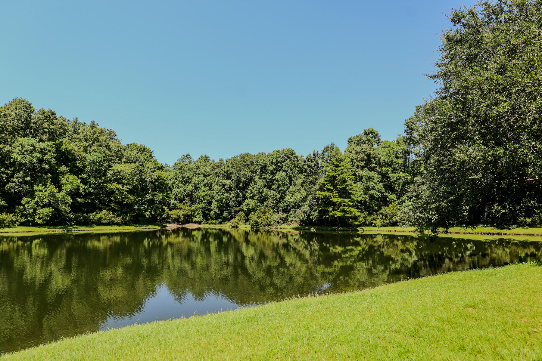 7127 Windmill Creek Road Charleston, SC 29414 - Photo 52 of 62 JA-117