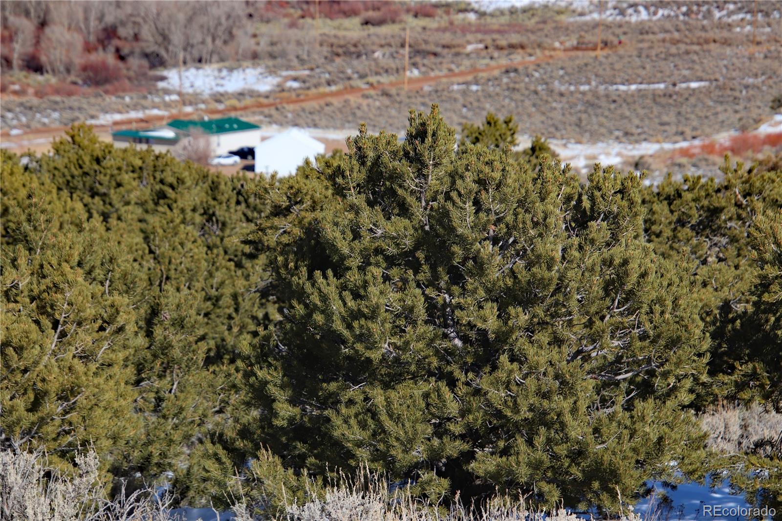 Lot 2536 Simone Road Fort Garland, CO 81133 - Photo 7 of 14 Gallery Image 7