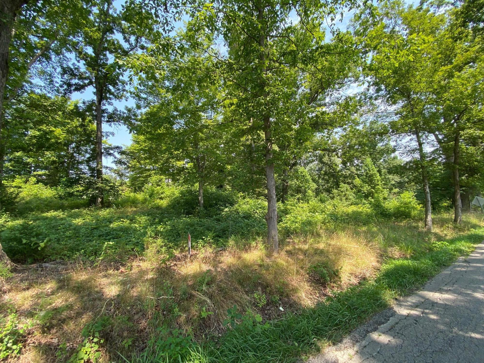 2262 Opossum Run Road Irvine, KY 40336 - Photo 2 of 7 IMG_9762
