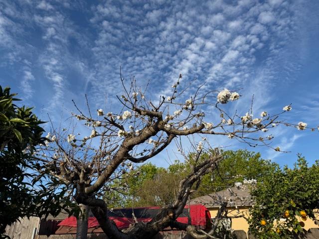 2313 San Rafael Avenue Modesto, CA 95355 - Photo 38 of 42