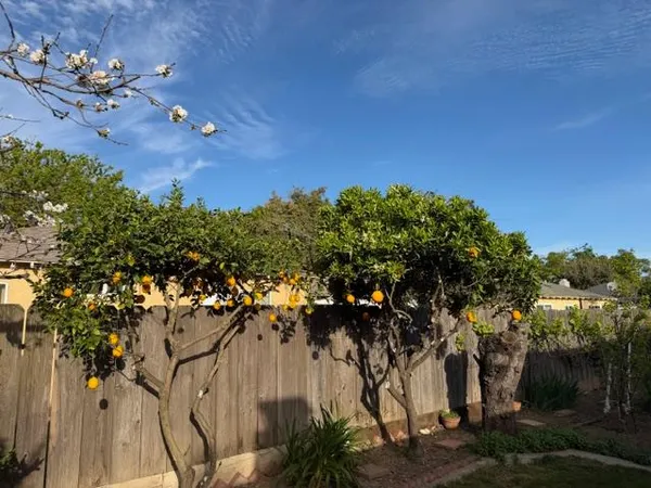 $459,000 | 2313 San Rafael Avenue, Modesto, CA 95355