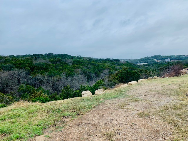 a view of a road with a yard