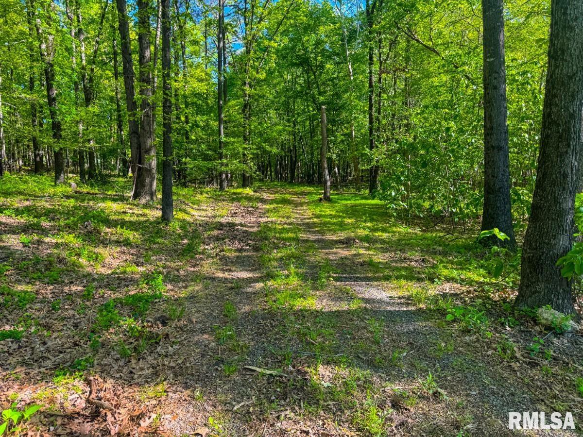 0 Herrin Road Carterville, IL 62918 - Photo 13 of 23 Gallery Image 13