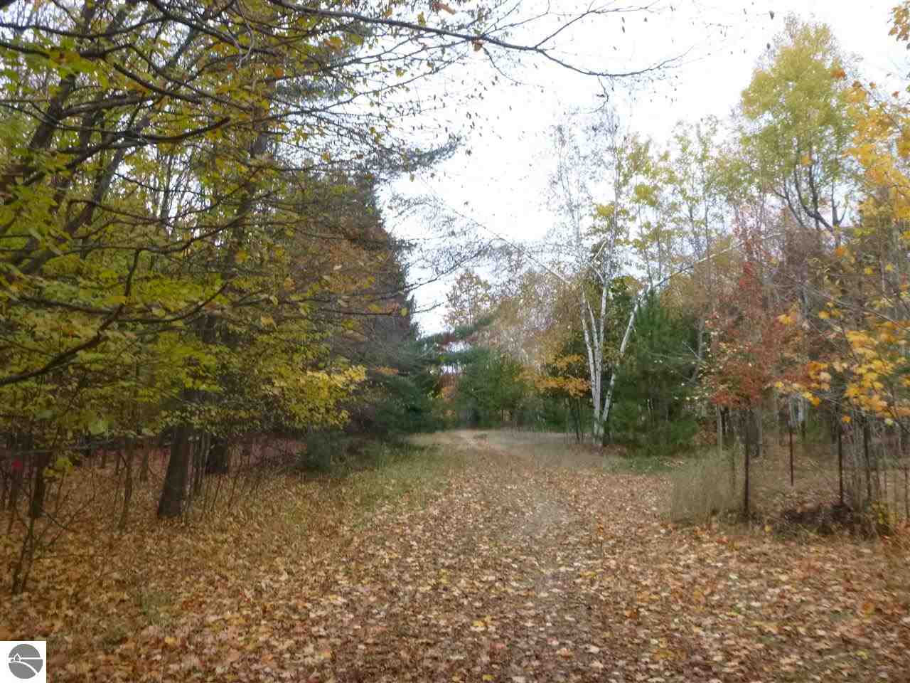 2234 East Duck Lake Road Grawn, MI 49637 - Photo 9 of 28 1777950-8.JPG